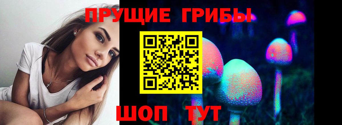 Знаменск  Псилоцибиновые грибы Psilocybine cubensis  Галлюциногенные грибы Cubensis  Вход с VPN 