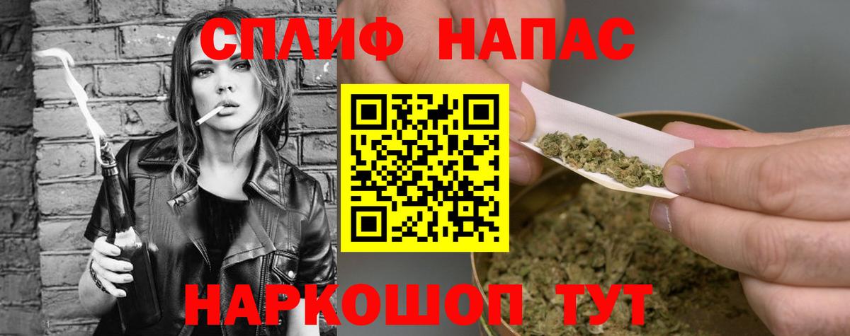 Каннабис сатива Знаменск
